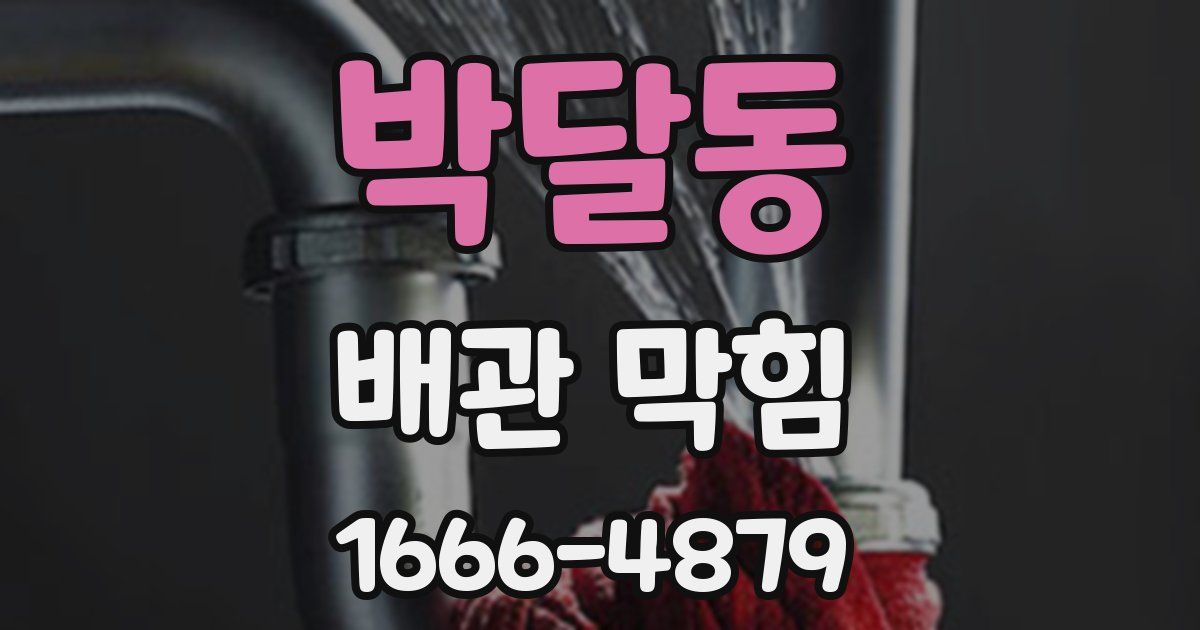 박달동 배관 막힘