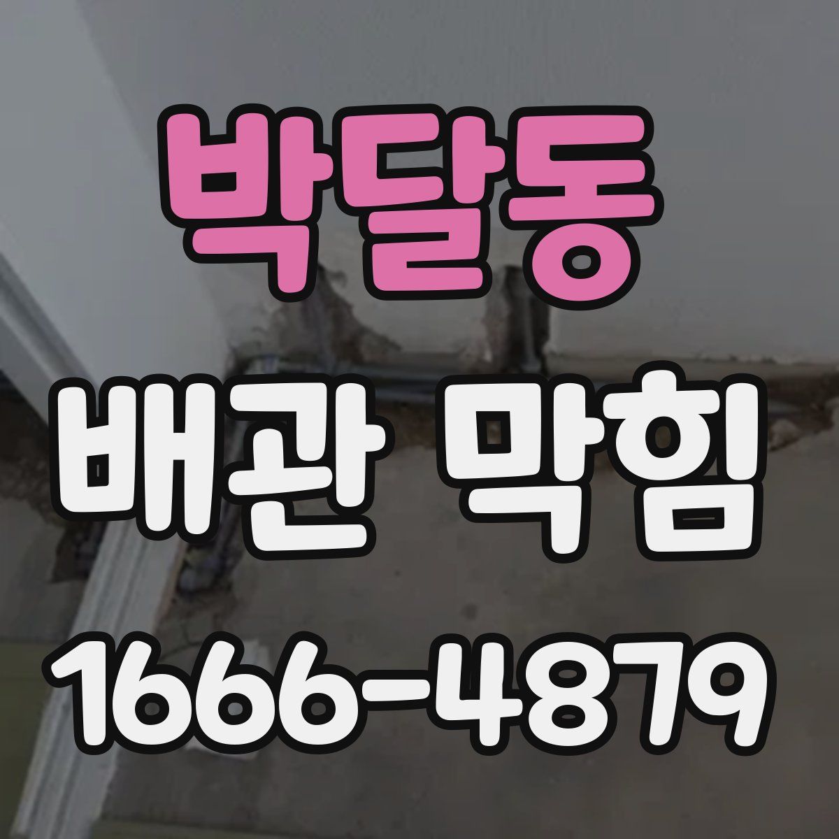 박달동 배관 막힘