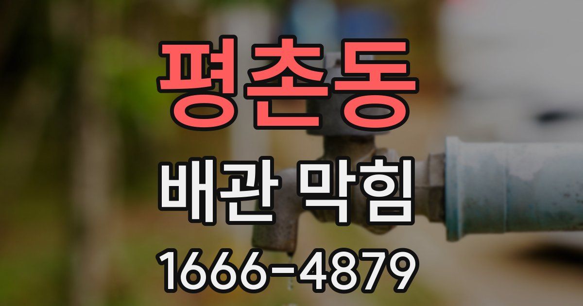 평촌동 배관 막힘