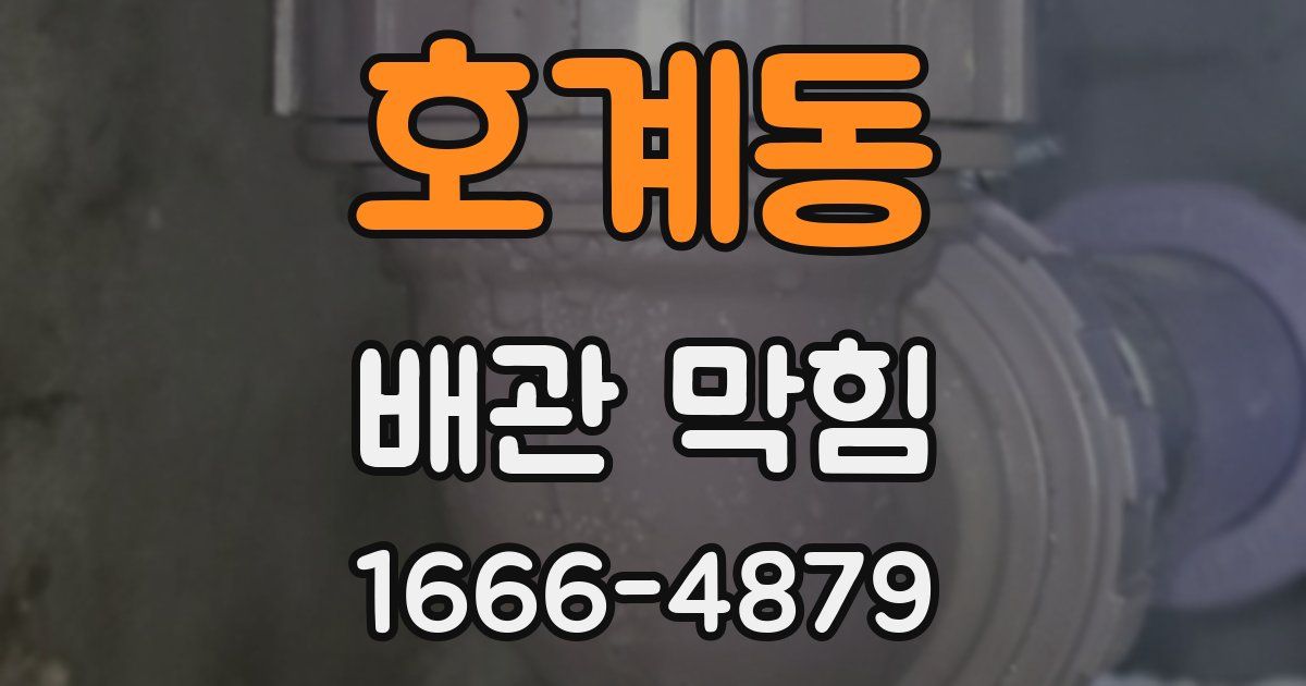 호계동 배관 막힘