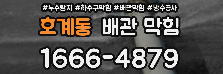 호계동 배관 막힘