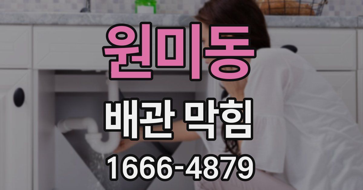 원미동 배관 막힘
