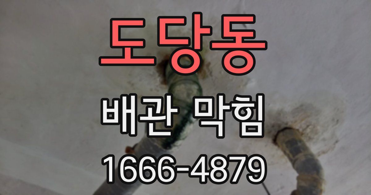 도당동 배관 막힘