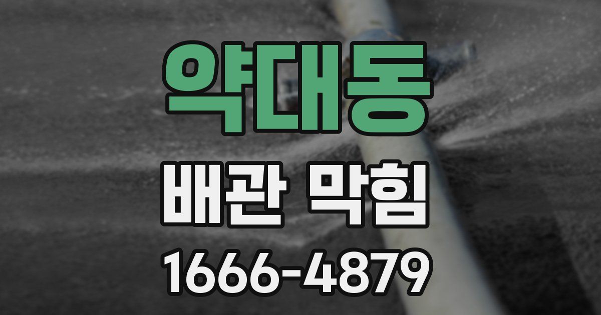 약대동 배관 막힘