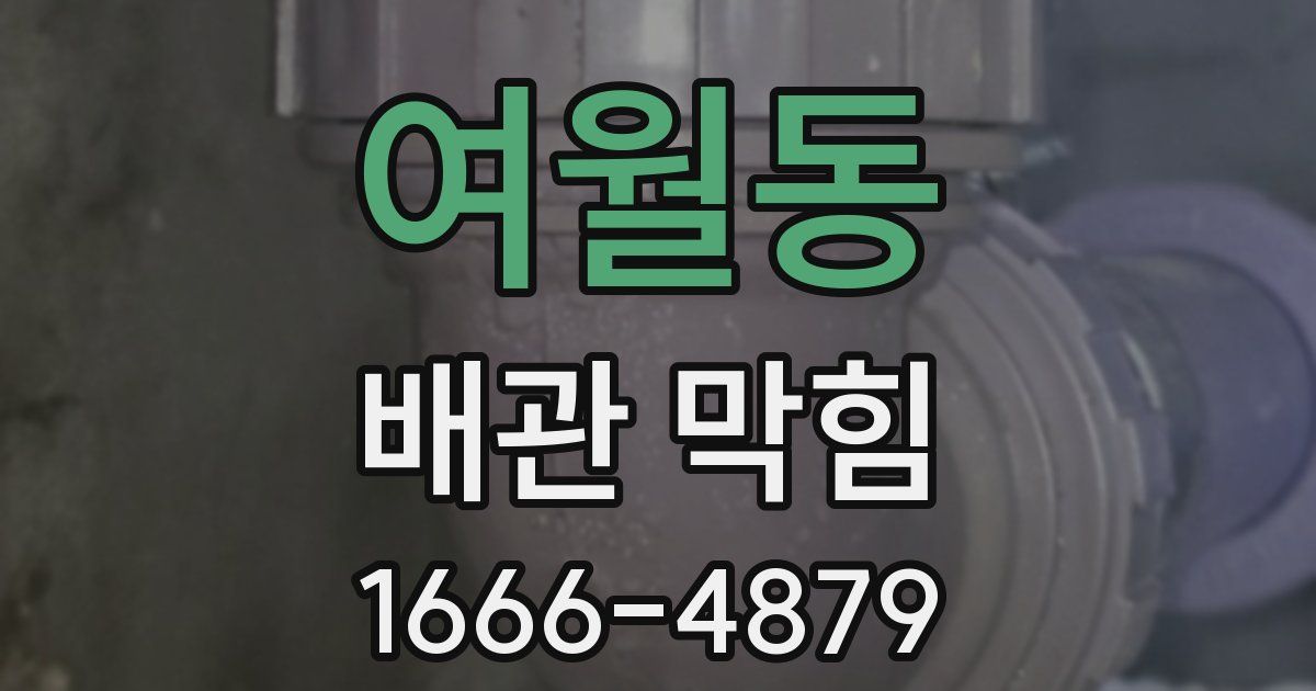 여월동 배관 막힘