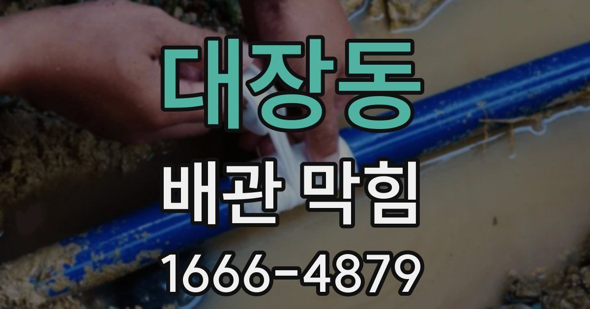 대장동 배관 막힘
