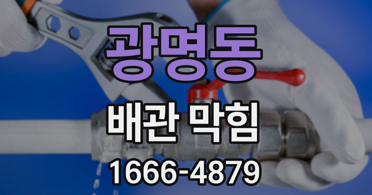 광명동 배관 막힘