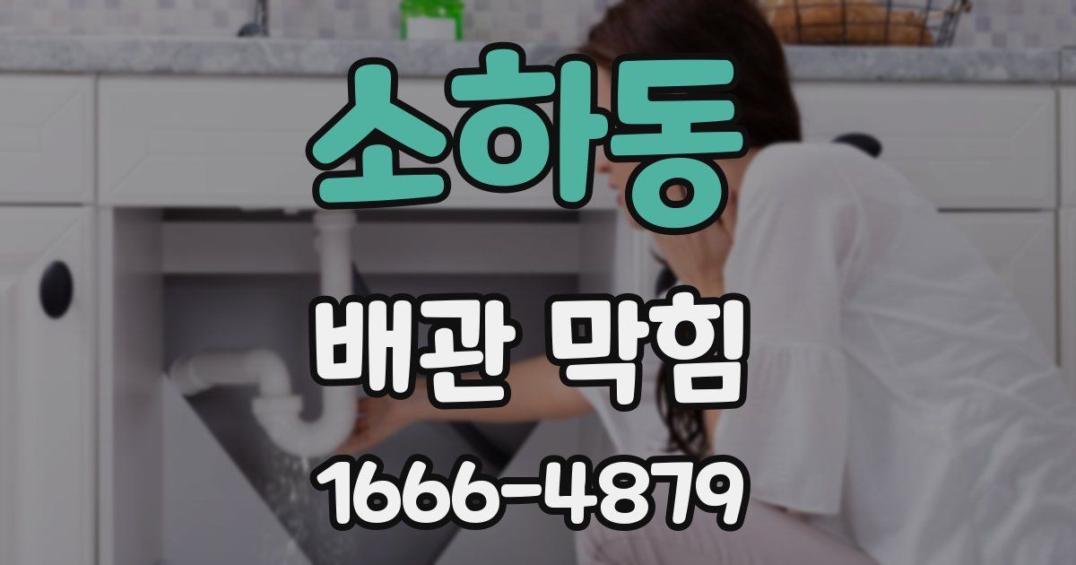 소하동 배관 막힘