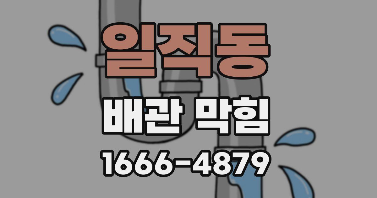 일직동 배관 막힘