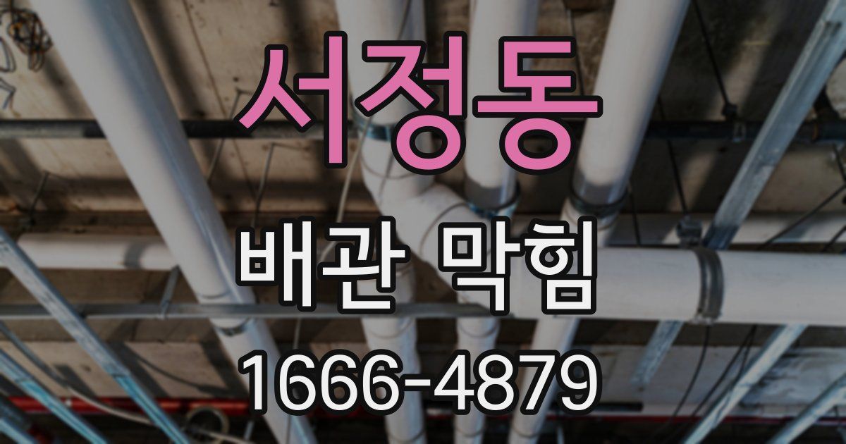 서정동 배관 막힘