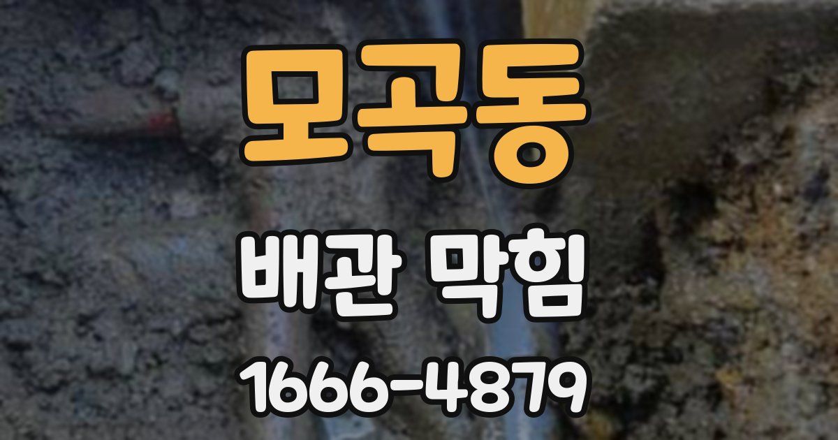 모곡동 배관 막힘
