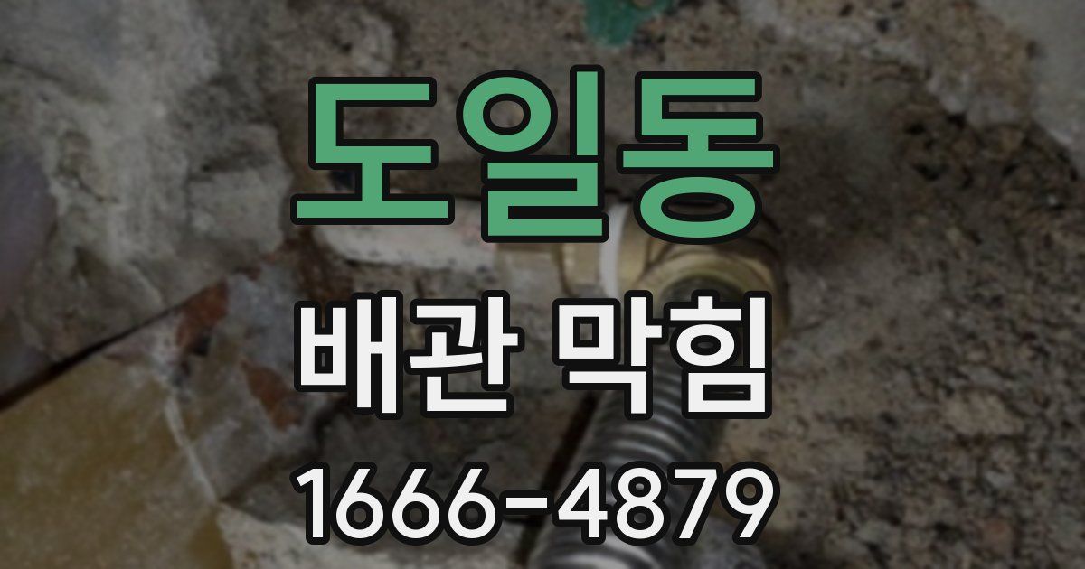 도일동 배관 막힘