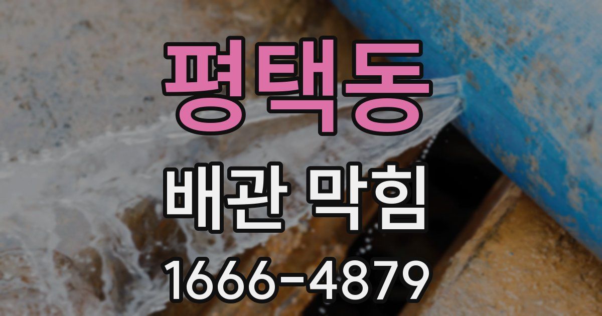 평택동 배관 막힘