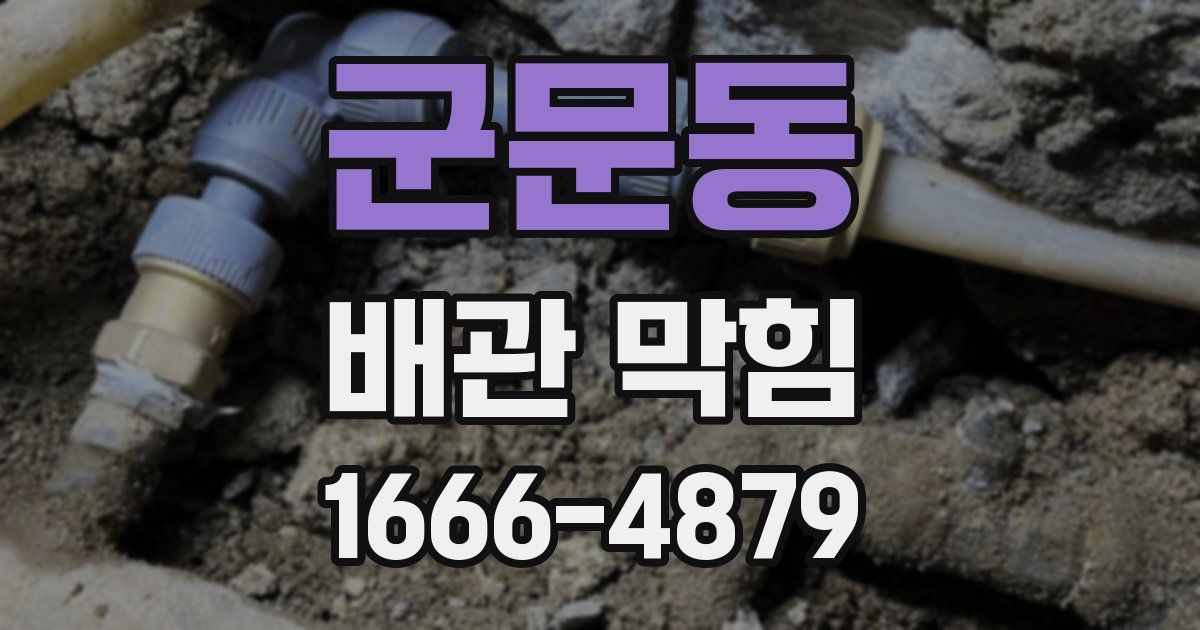 군문동 배관 막힘
