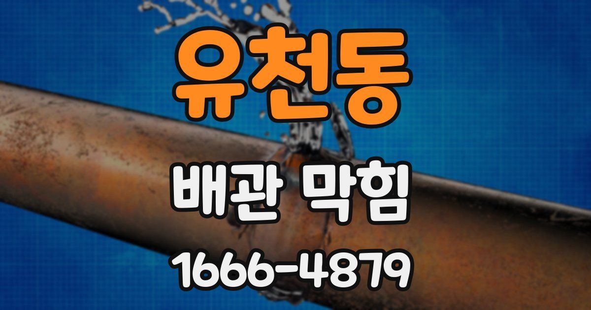 유천동 배관 막힘