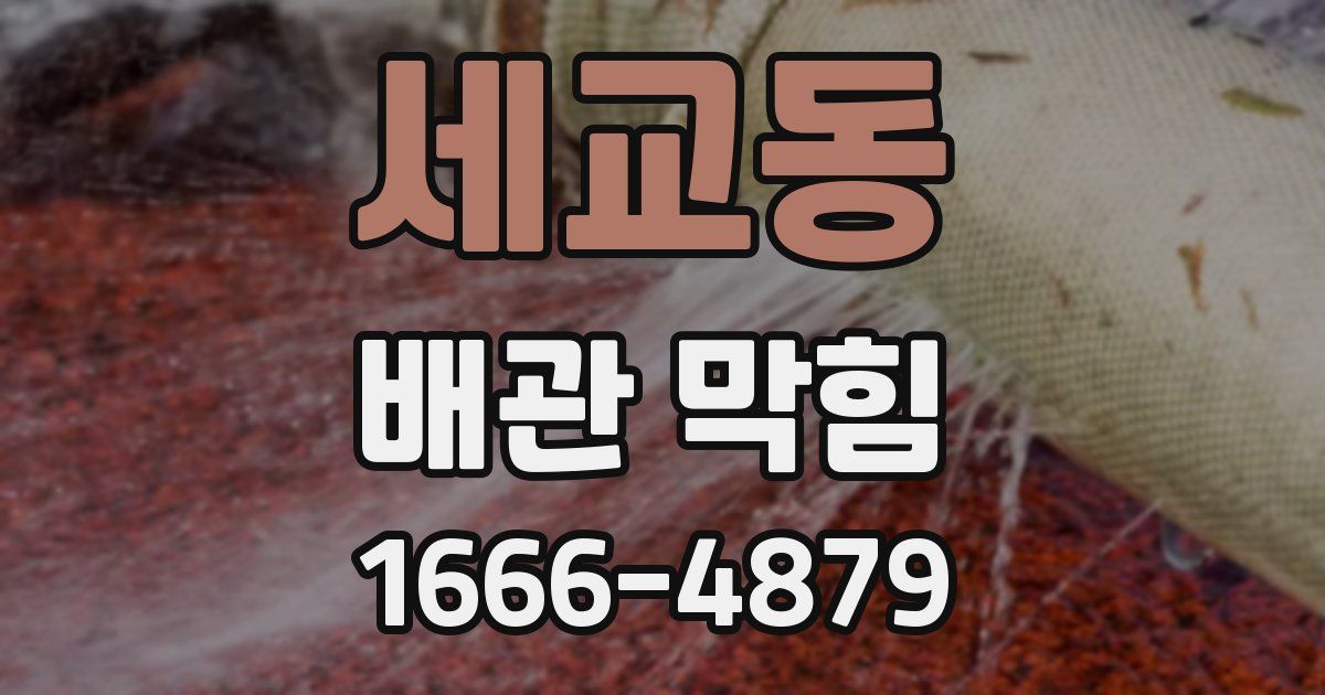 세교동 배관 막힘