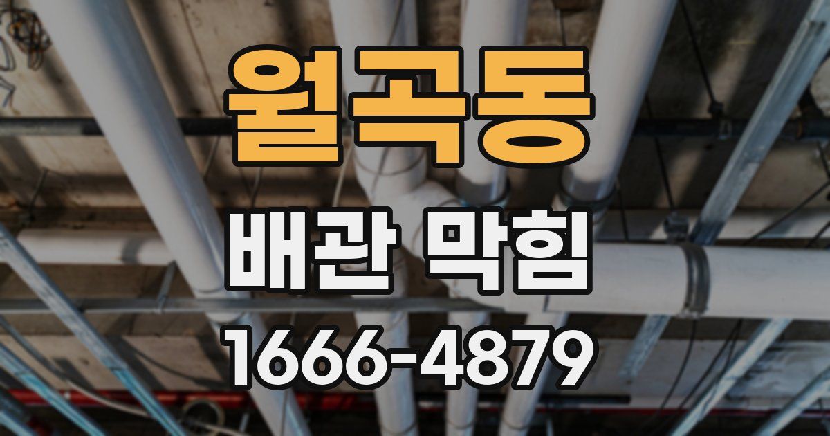 월곡동 배관 막힘