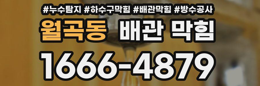 월곡동 배관 막힘