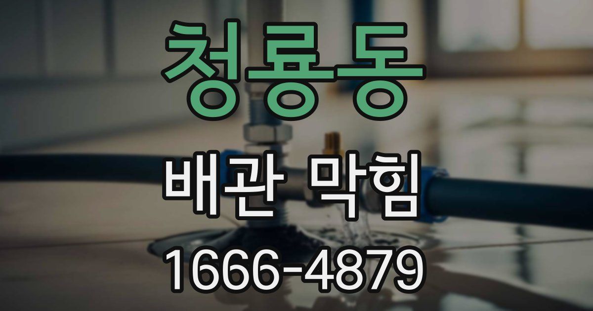 청룡동 배관 막힘