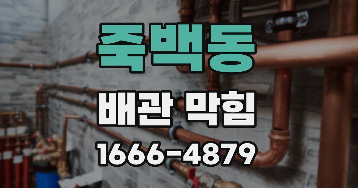 죽백동 배관 막힘