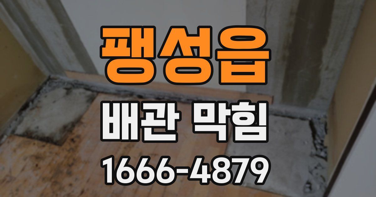 팽성읍 배관 막힘