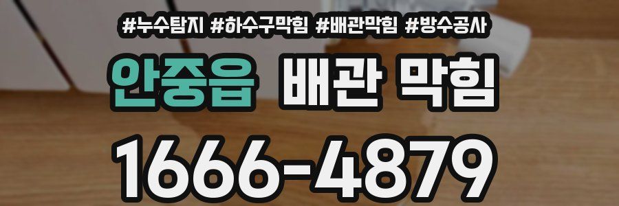 안중읍 배관 막힘