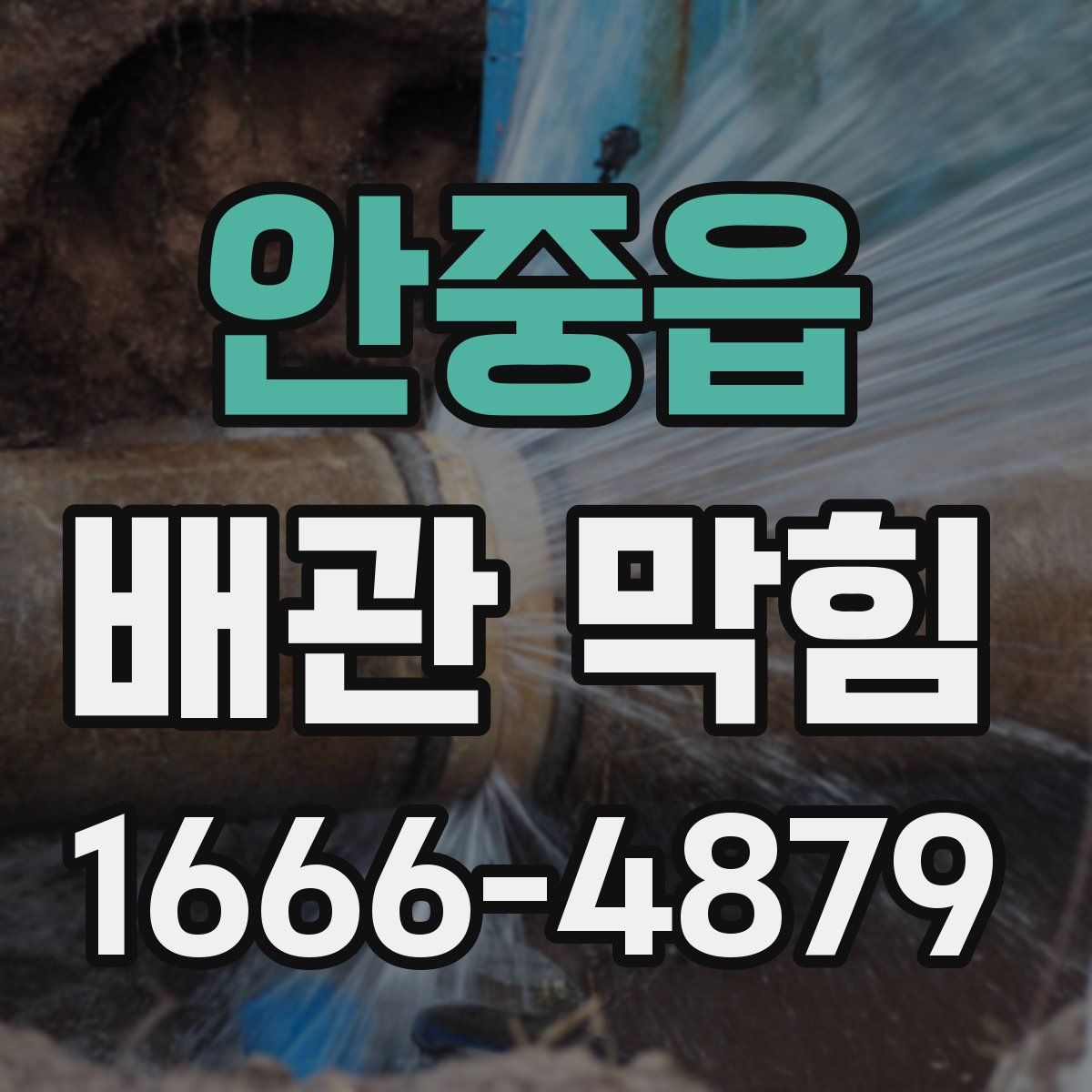 안중읍 배관 막힘
