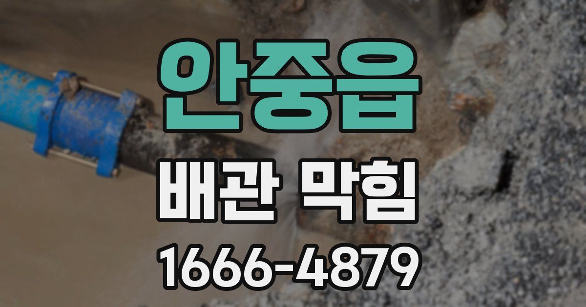 안중읍 배관 막힘