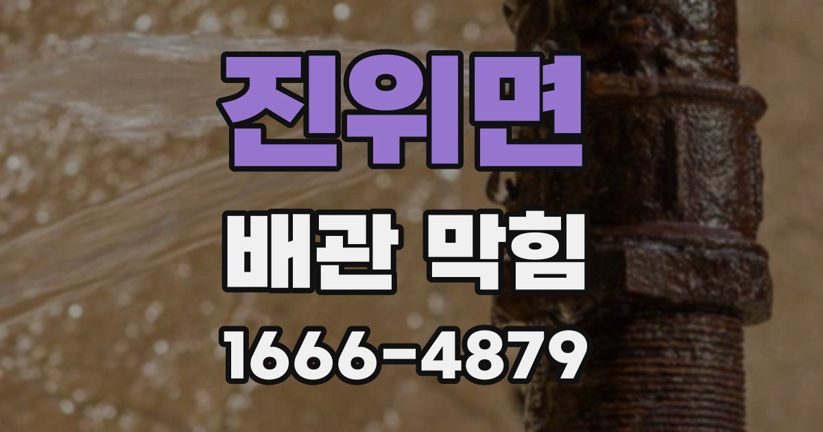 진위면 배관 막힘