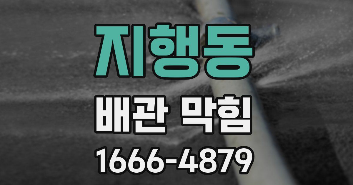 지행동 배관 막힘