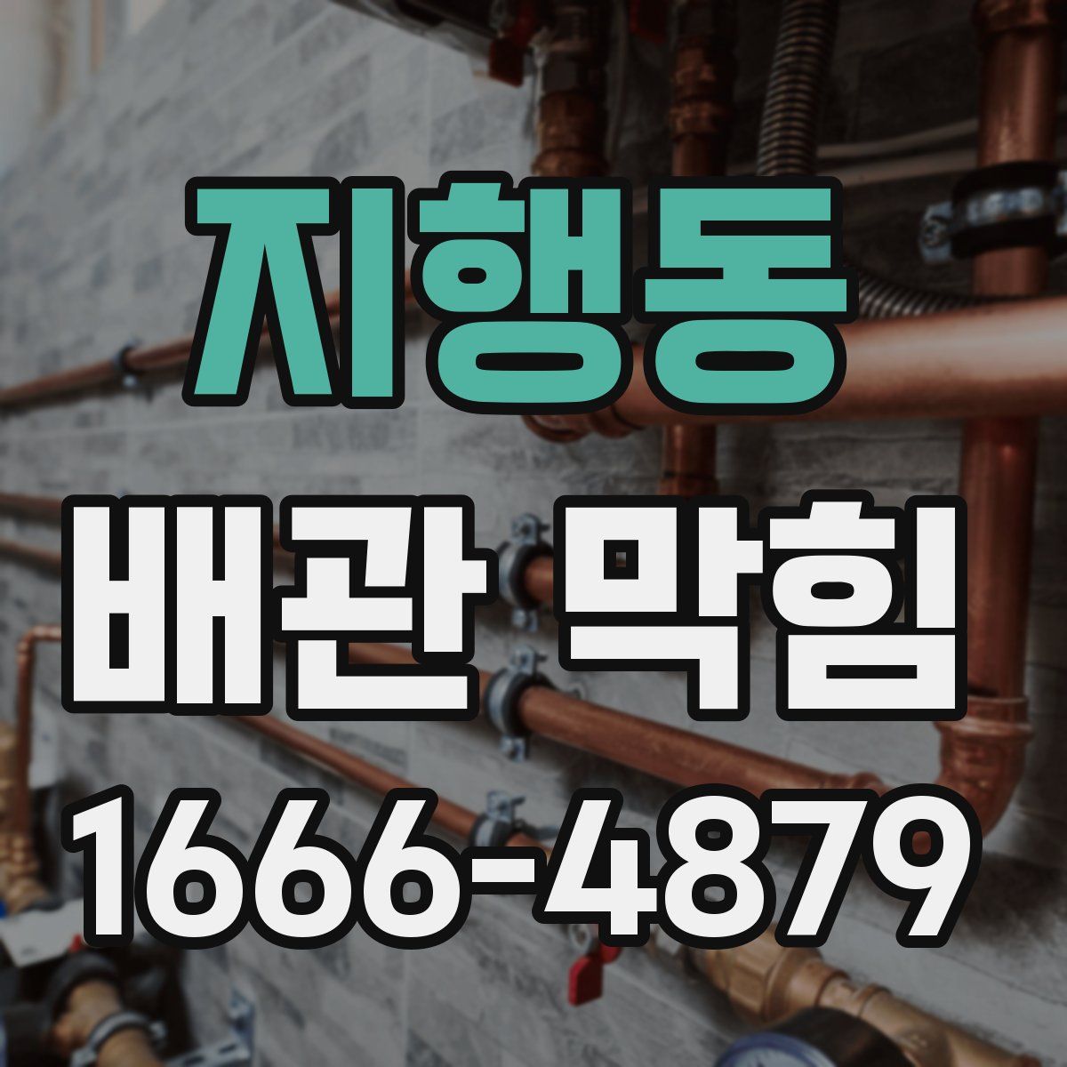 지행동 배관 막힘