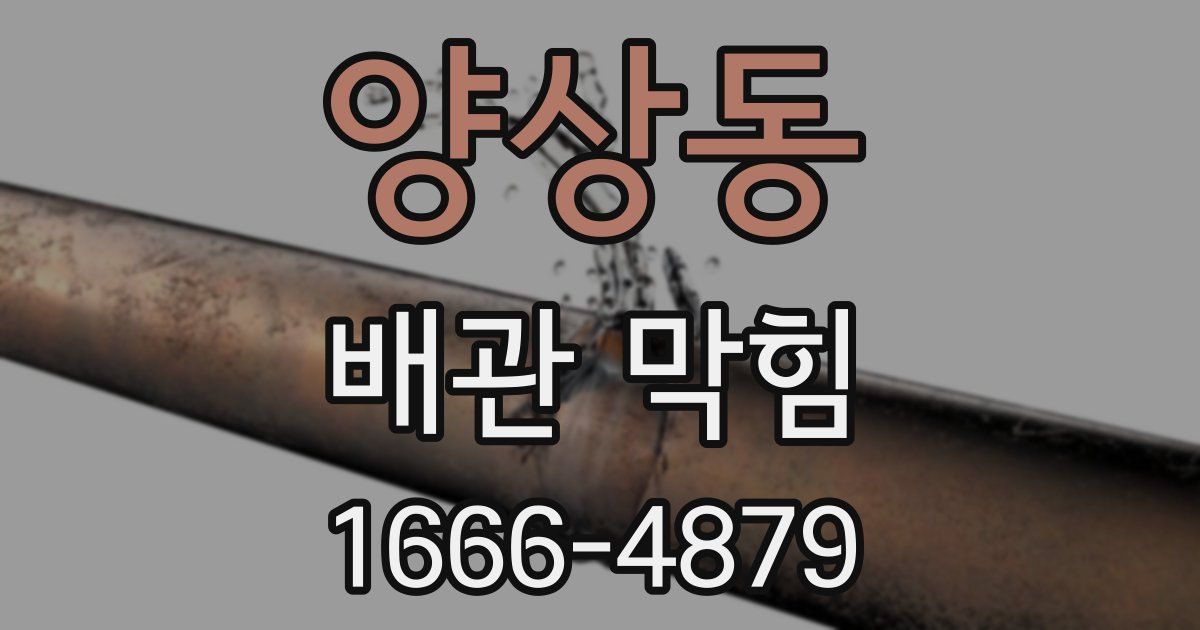 양상동 배관 막힘