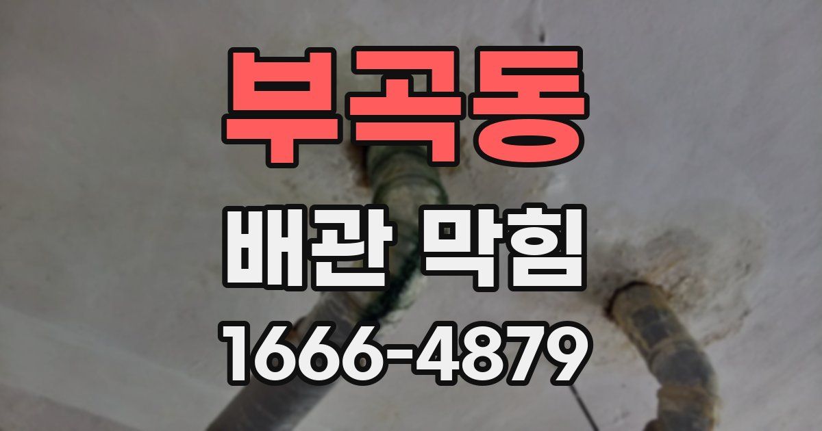 부곡동 배관 막힘