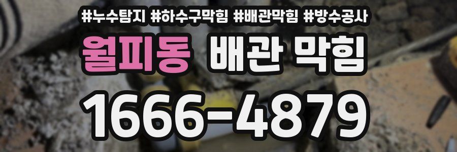 월피동 배관 막힘