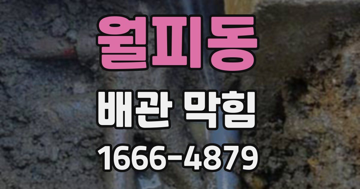 월피동 배관 막힘