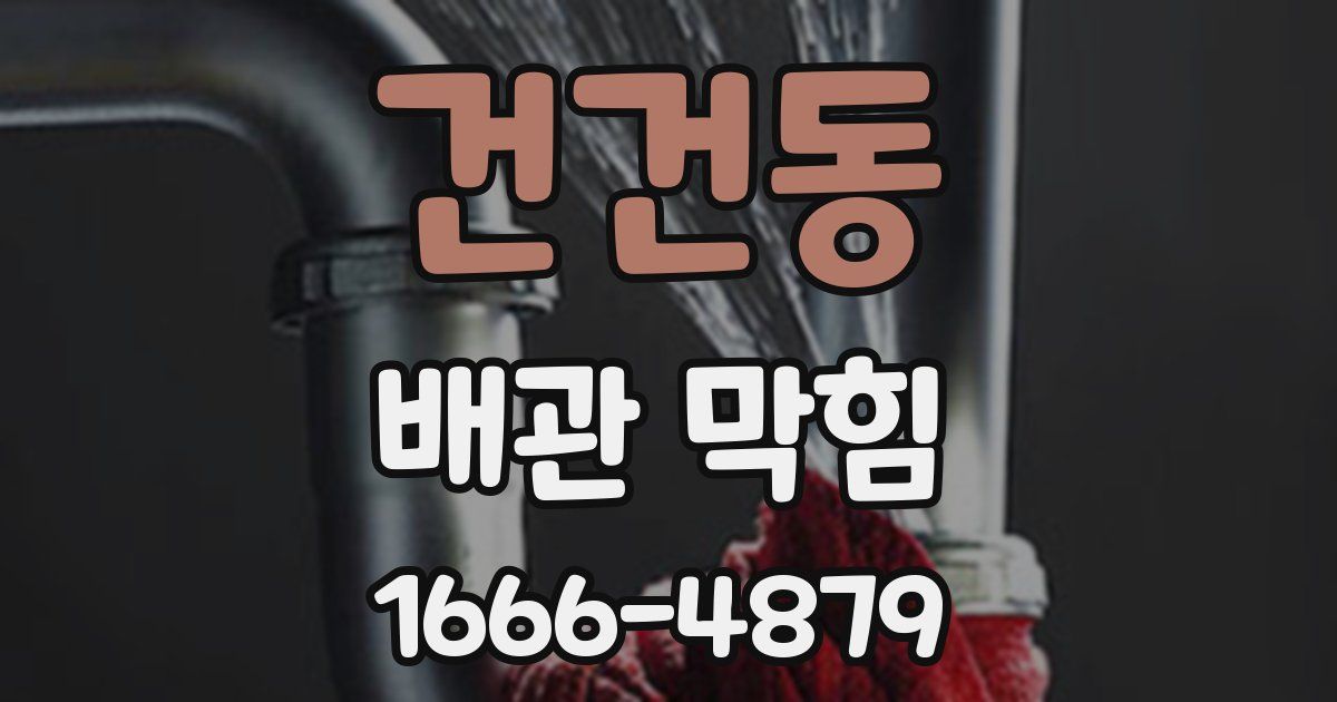 건건동 배관 막힘