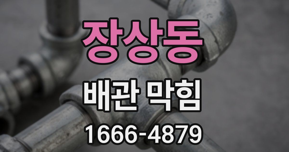 장상동 배관 막힘