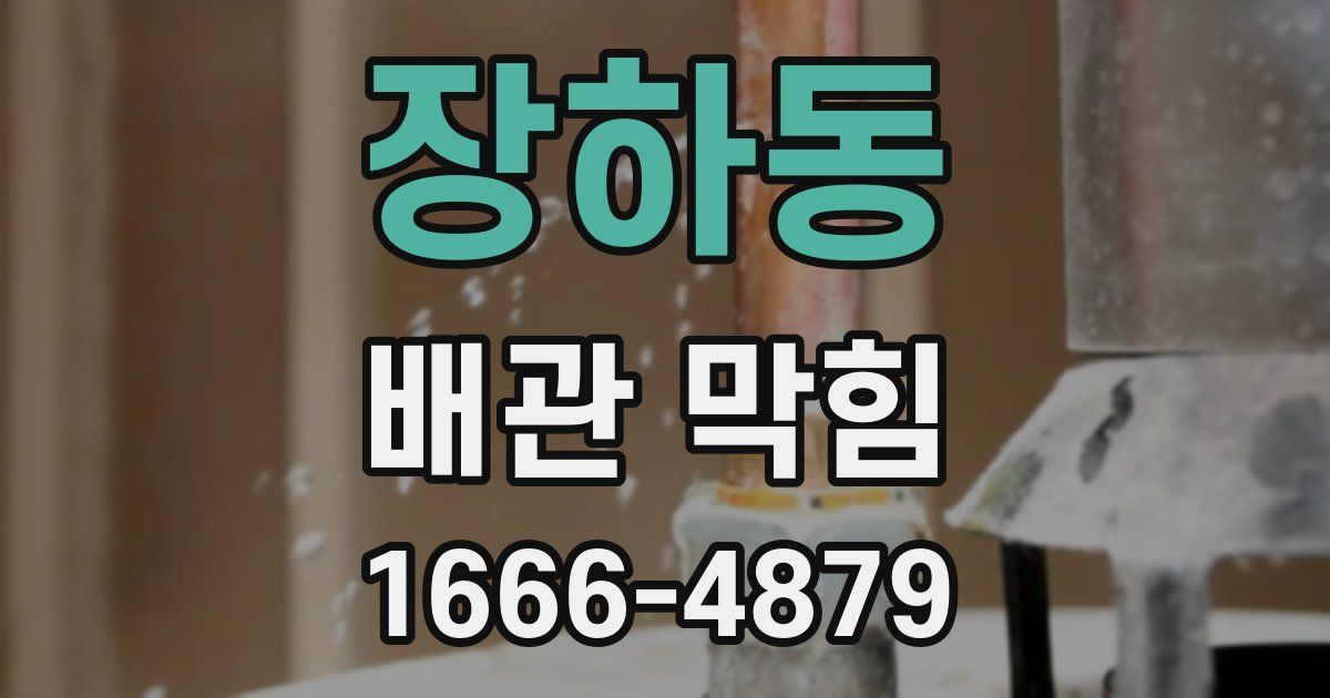 장하동 배관 막힘