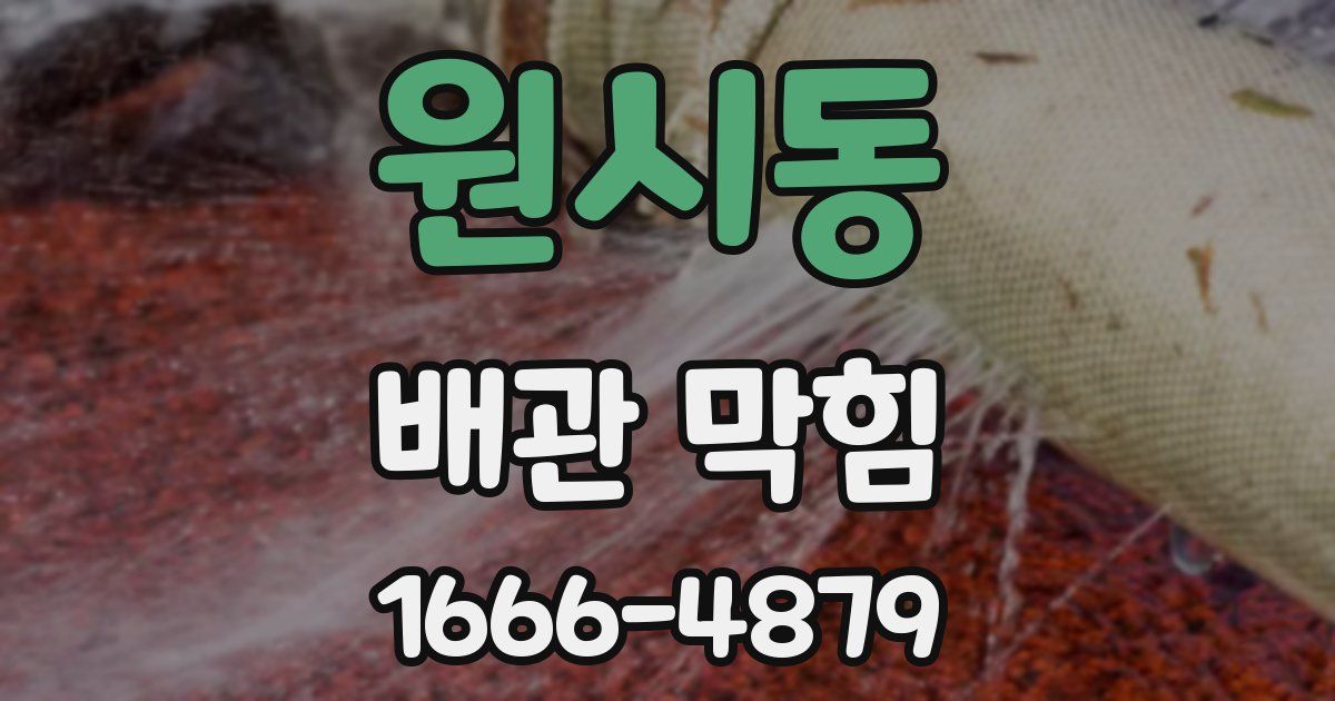 원시동 배관 막힘