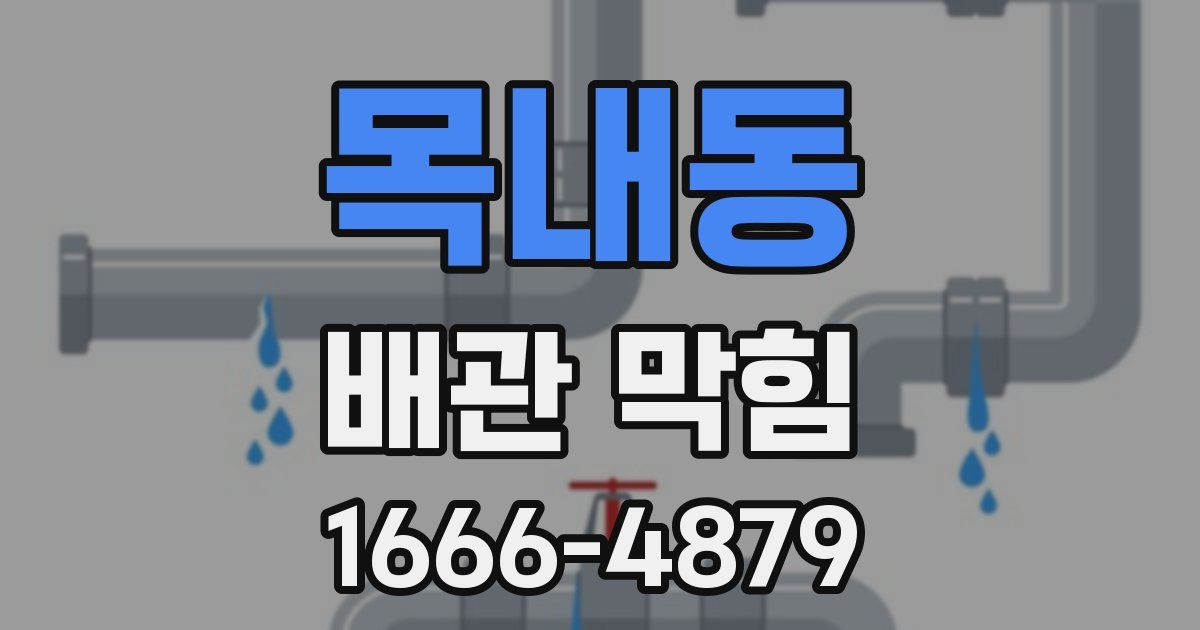 목내동 배관 막힘