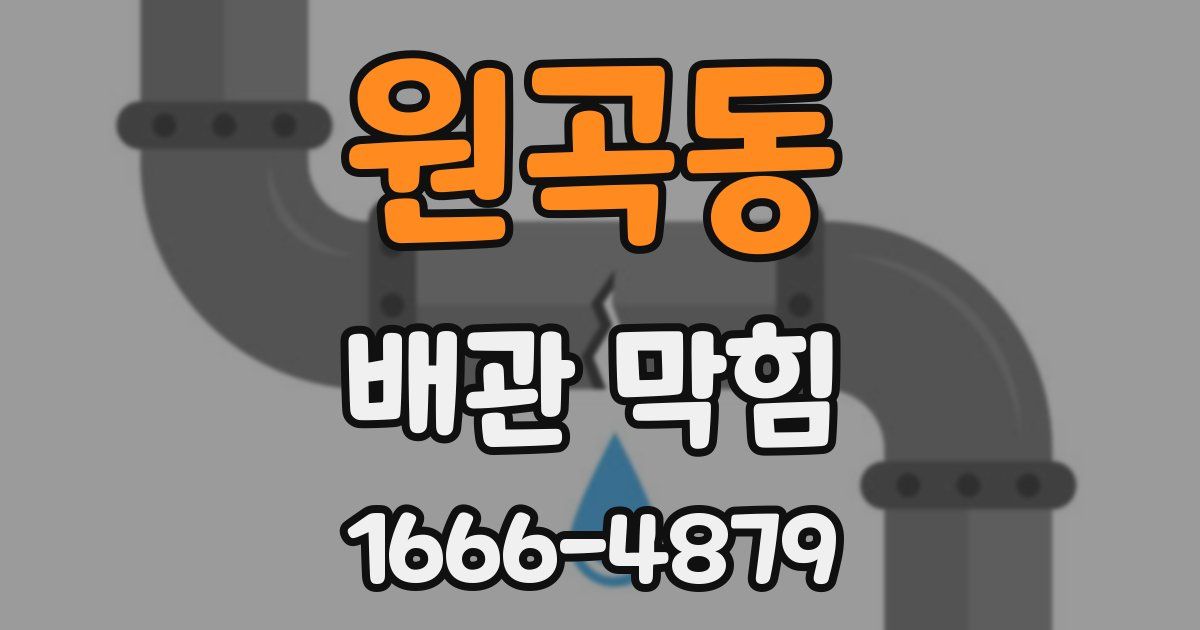 원곡동 배관 막힘