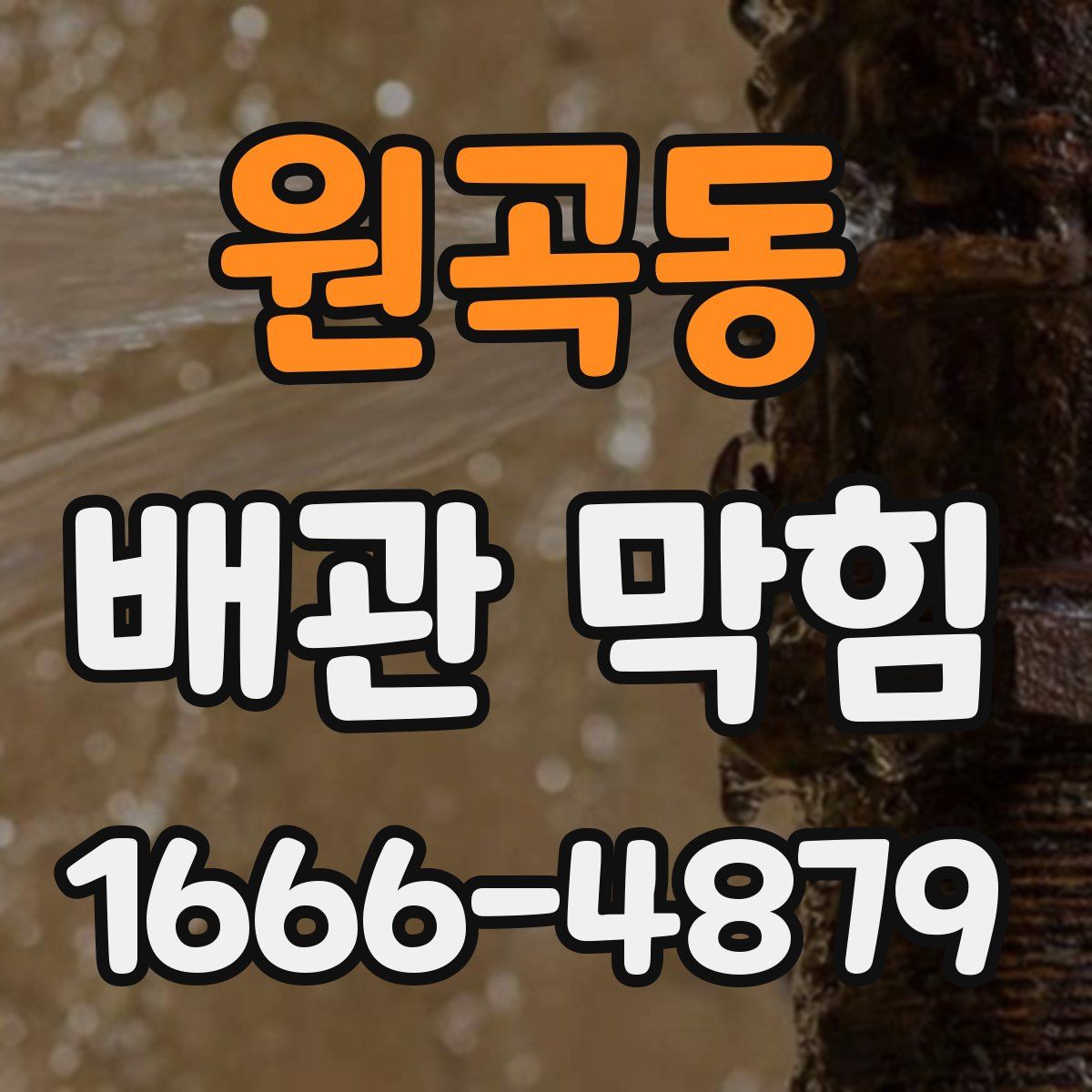 원곡동 배관 막힘