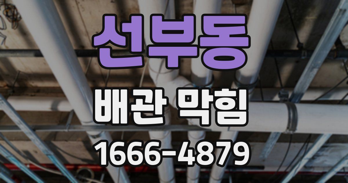 선부동 배관 막힘