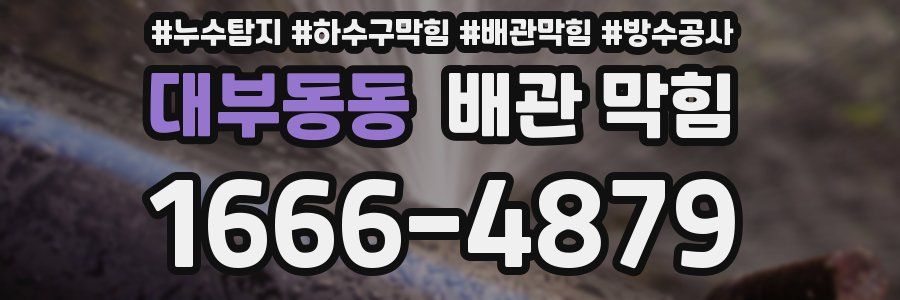 대부동동 배관 막힘