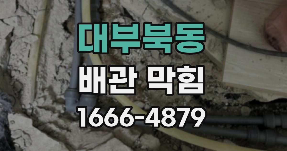 대부북동 배관 막힘