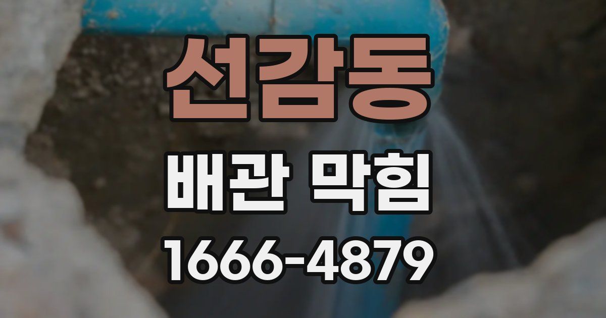 선감동 배관 막힘
