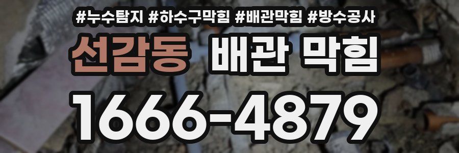 선감동 배관 막힘