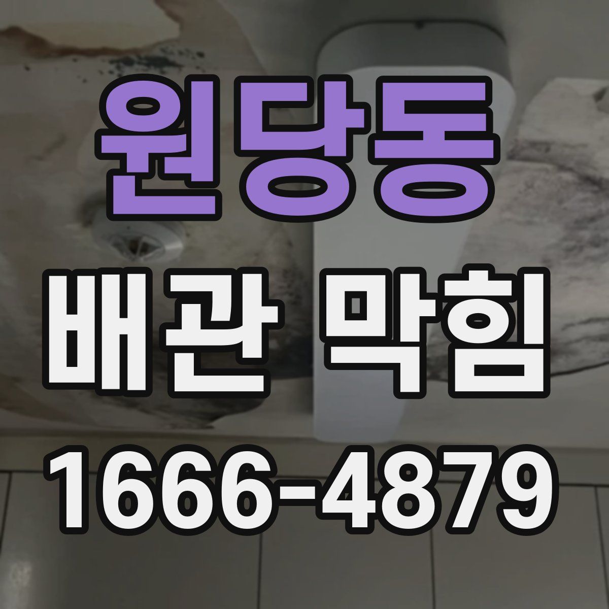 원당동 배관 막힘