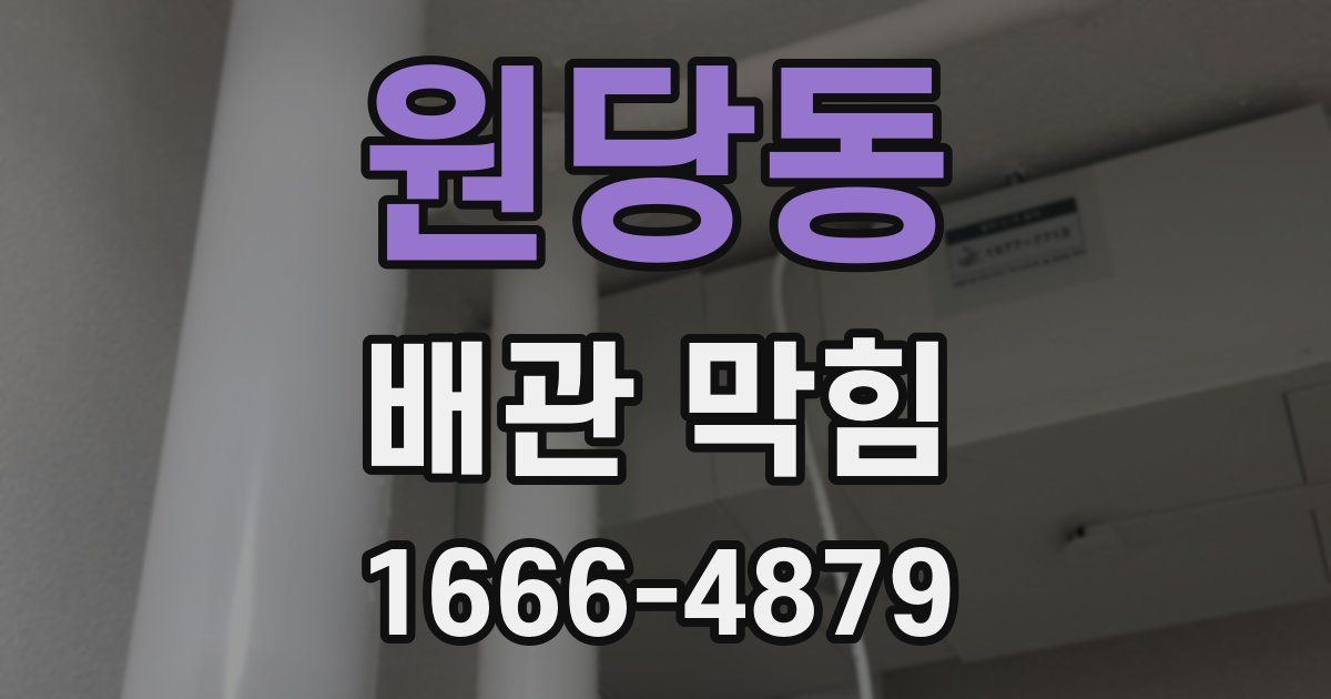 원당동 배관 막힘