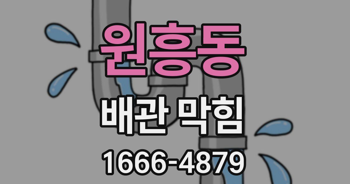 원흥동 배관 막힘